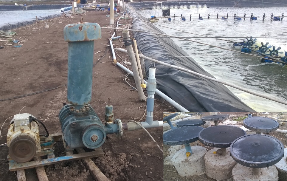 Ứng dụng của máy thổi khí oxy